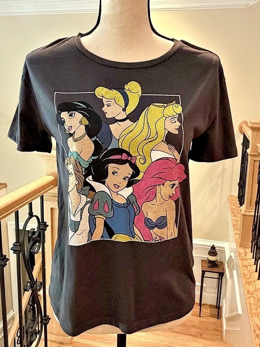 Women’s Classic Disney Princesses Graphic T-Shirt Short Sleeve Charcoal Gray